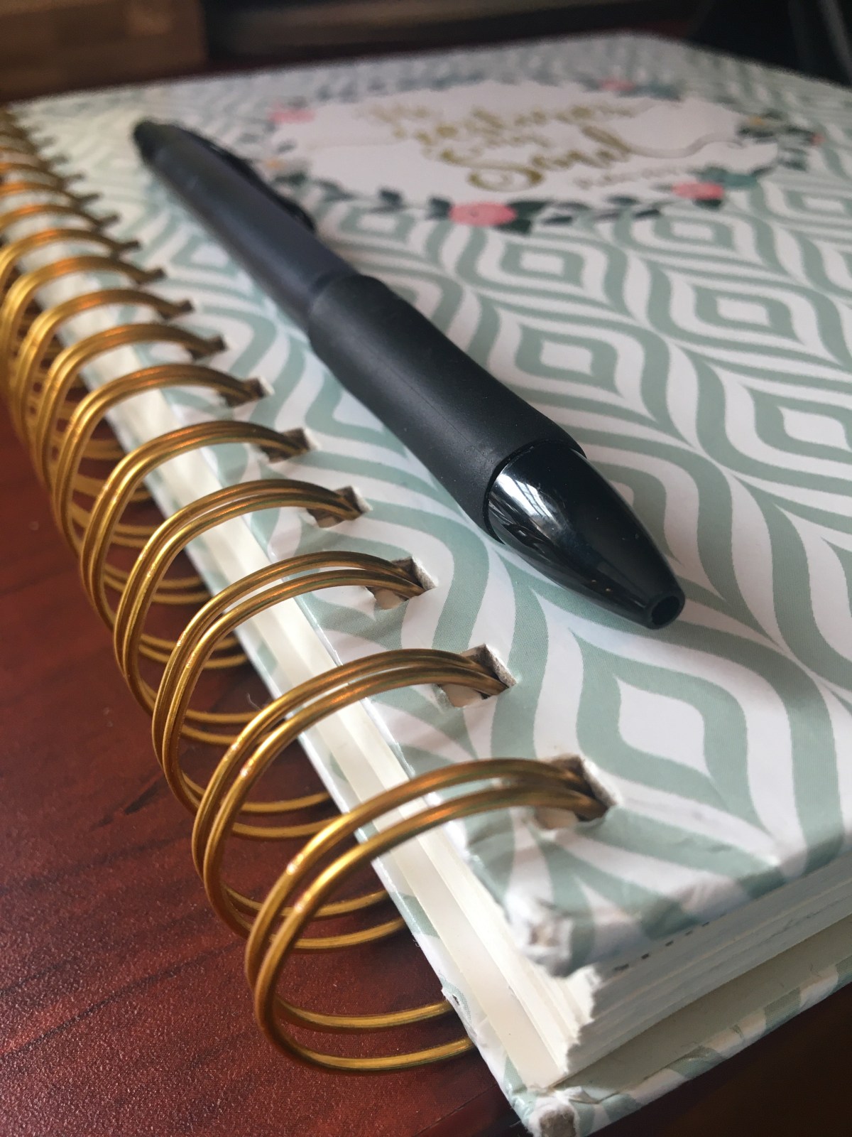 Introducing: Dear Annie