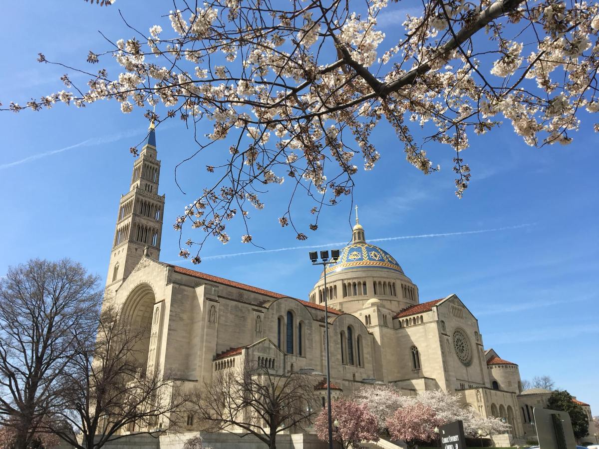 Stand back, doors&nbsp;closing.